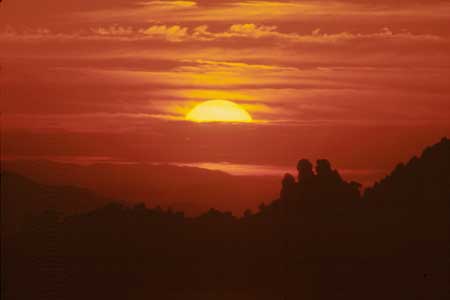 Arizona