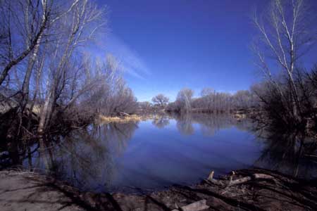Lagoon