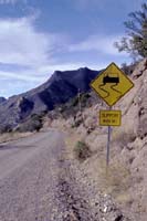 Arizona