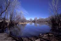 Lagoon