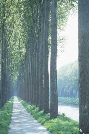 Along