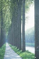 Along