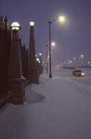 Snowy