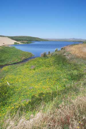 Lagoon