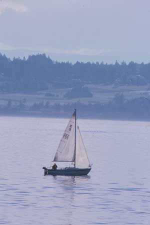 Sail