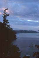 Orcas